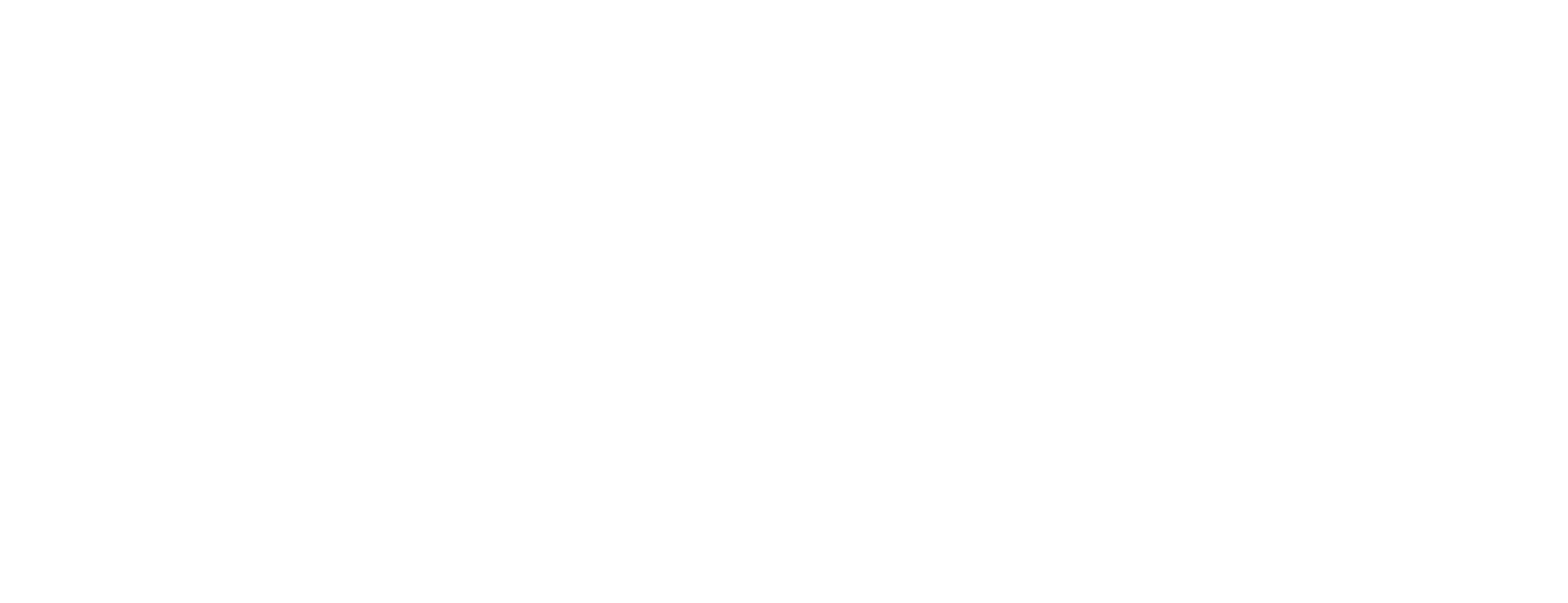 fps group weiss